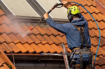 Démoussage et hydrofuge de toiture au Mont